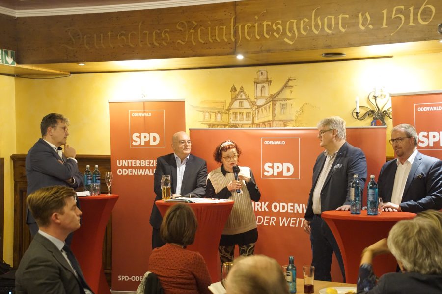 Odenwaldgespräch (1) - Gesundheitsversorgung Odenwaldkreis